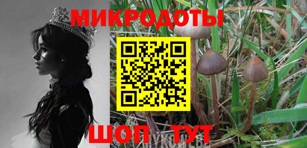 Псилоцибиновые грибы прущие грибы Спасск-Дальний