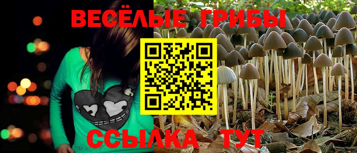 Спасск-Дальний  хочу наркоту  Вход с VPN  Псилоцибиновые грибы прущие грибы 